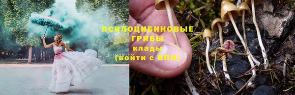 круглые Щёлкино