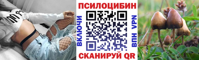 Галлюциногенные грибы мухоморы  Купить где  Михайловка 